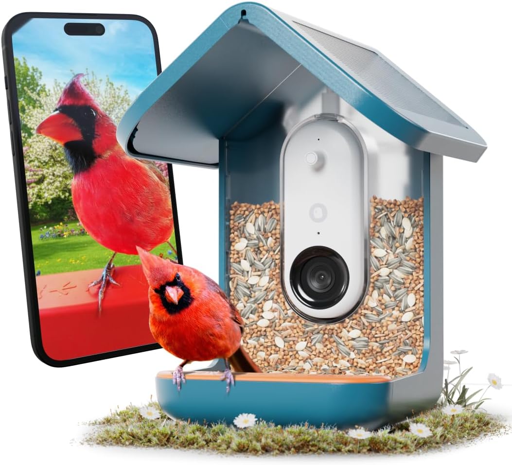 Birdbuddy PRO Solar Smart Bird Feeder With Camera, 5MP Photos, 2K HD Video, Blue - PRO