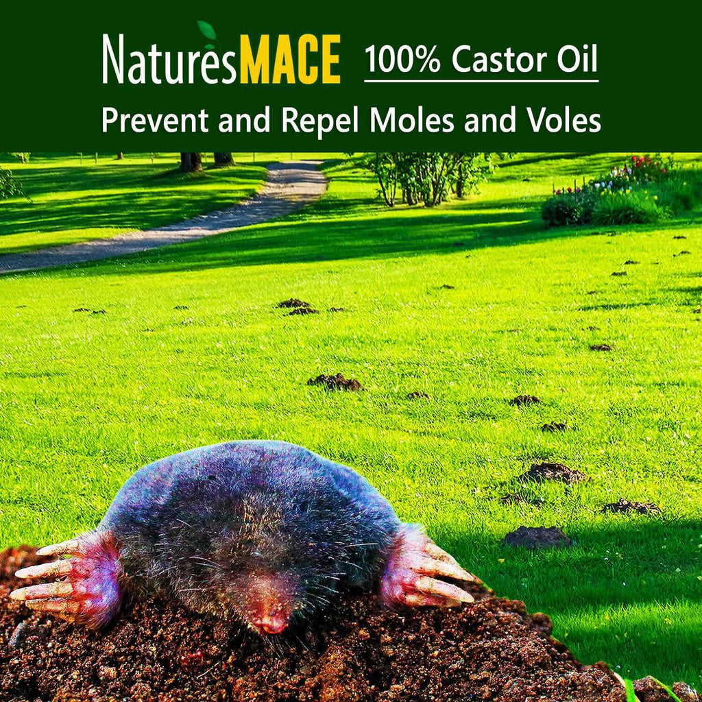 Nature's Mace Mole & Vole Repellent 1 Gallon Pure Castor Oil Concentrate Covers Up To 20,000 Sq Ft