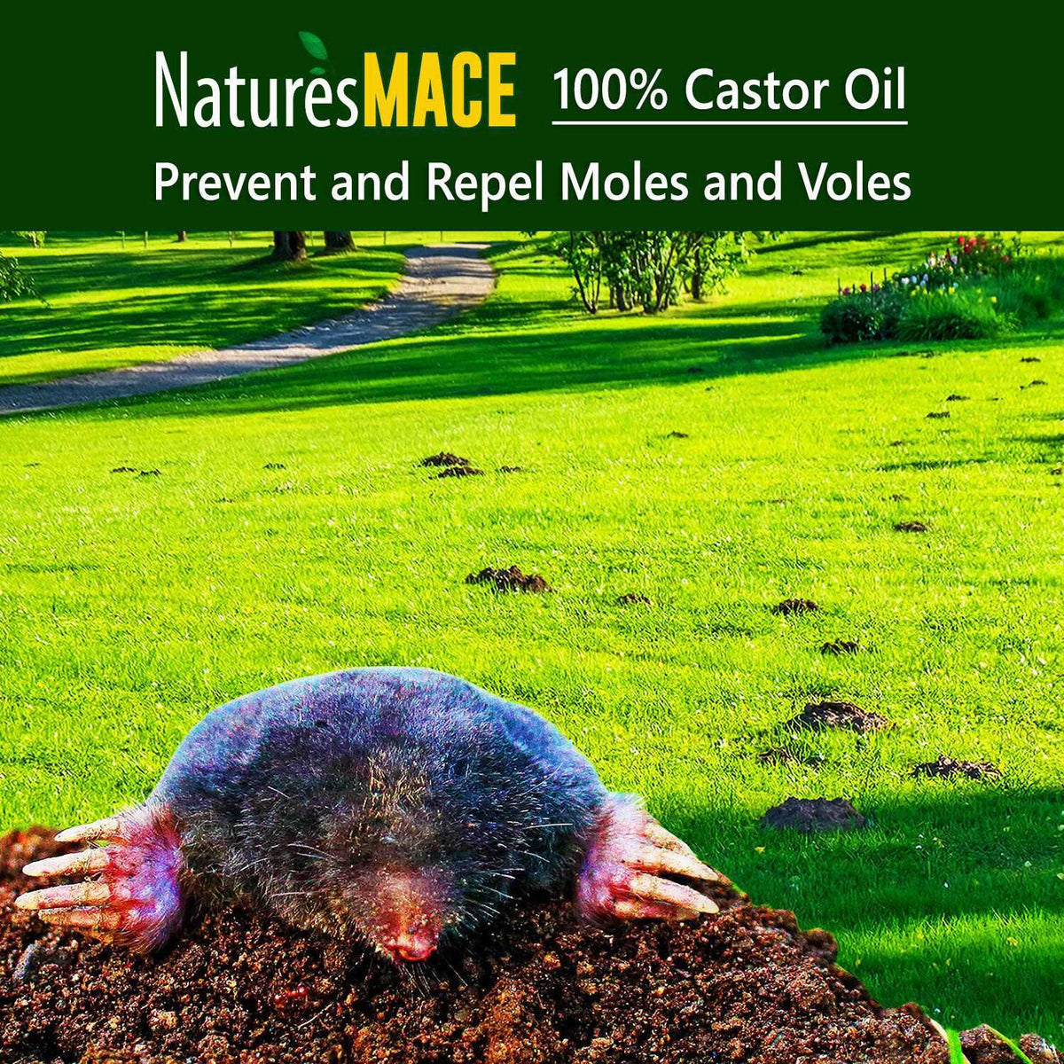 Nature's Mace Mole & Vole Repellent 1 Gallon Pure Castor Oil Concentrate Covers Up To 20,000 Sq Ft