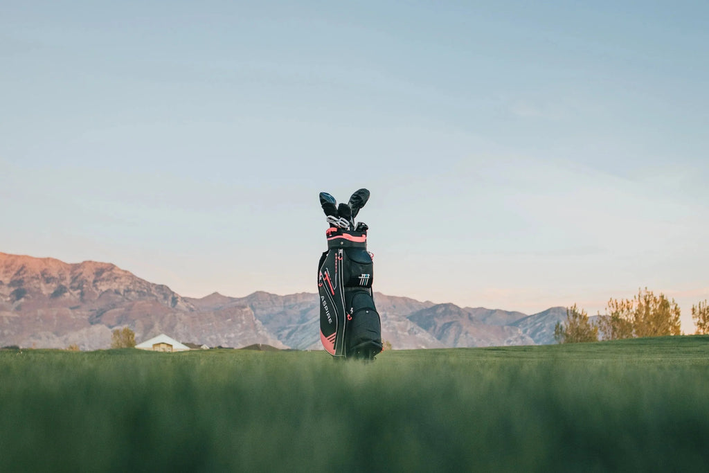 Aspire PRO-X Women's Complete Right-Hand Golf Club Package Set - Regular And Petite Sizes