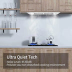 Range Hood 30 inch Built-In Insert Vent Hood, 600 CFM, Stainless Steel