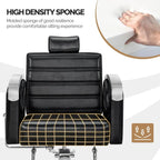 OmySalon All Purpose Reclining Hydraulic Salon Chair, 135 Degree