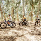 AMYET 26 x 4 Fat Tire Electric Mountain Bike, 48V 15Ah, 7-Speed - EB26