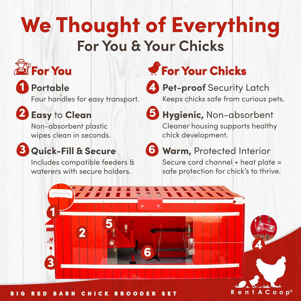 RentACoop Big Red Barn Chick Brooder Set With 12 x 12 Heating Plate, Feeders And Waterers