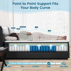 Vantto Queen 12 Inch Hybrid Memory Foam Mattress In A Box - CertiPUR-US