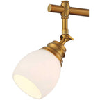 Pro Track 4-Head Wall Or Ceiling Track Light Fixture Kit, Warm Gold - Elm Park