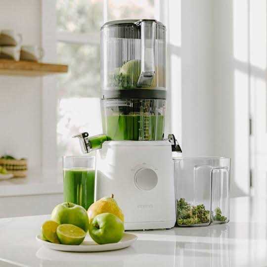 Nama Cold Press Juicer - J2