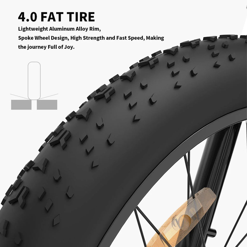 26 in 48V 13Ah 750W Fat Tire Electric Mountain Bike, Black - S48