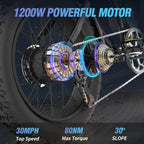 1500W Electric Mountain Bike 48V 20Ah, 20 inch Fat Tires, Shimano 7-Speed, Full Suspension - q20-1500w