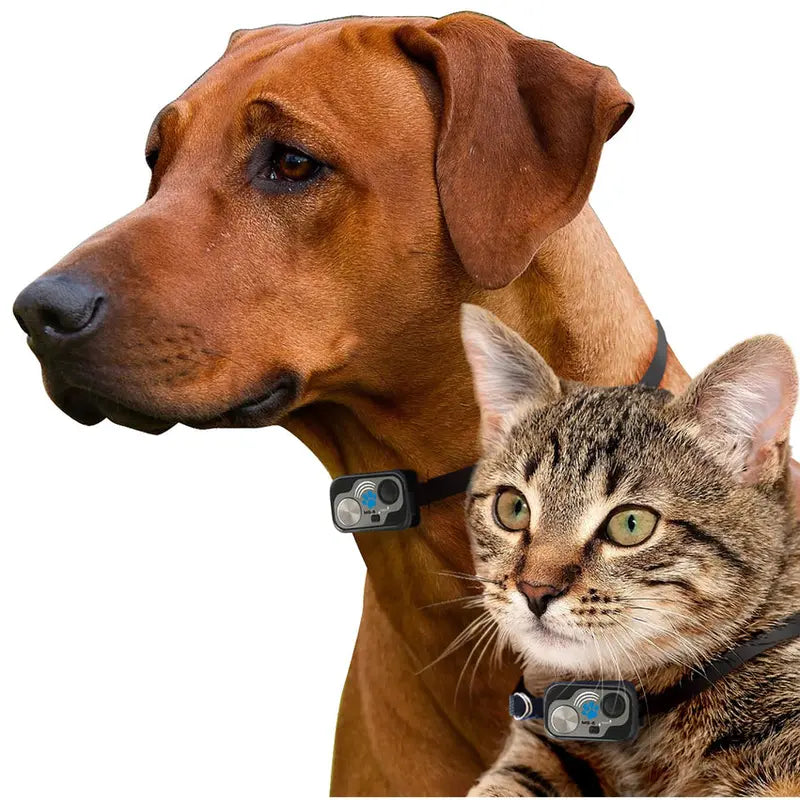 Power Pet Large Electronic Pet Door, RFID-Activated Entry System For Medium To Large Dogs - PX-2
