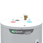 A.O. Smith Signature 100 40-Gallon Short 3800-Watt Double Element Electric Water Heater - E6-40R38D TTP