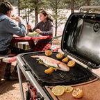 Weber Traveler Portable Propane Gas Grill - 20 lb, 43.6 W