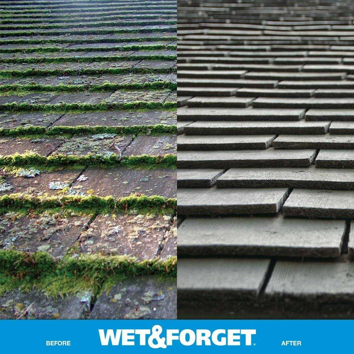 Wet & Forget Hose End Outdoor Stain Remover