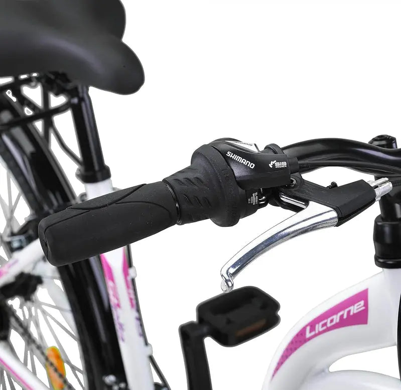 Licorne Urban City Bike, Aluminum Frame, 24.0 Inches/26.0 Inches/28.0 Inches - Stella Premium