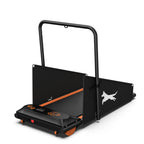 Dog Treadmill For Small And Medium Dogs - W215P235106