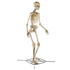 Home Accents Holiday 12 ft Giant-Sized Skeleton With LifeEyes LCD Eyes