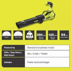 RYOBI 40V Brushless 20 in Self-Propelled Mower, String Trimmer & Leaf Blower Kit With 2 Batteries, 2 Chargers - RY401120-Y RY40270 RY40407BTLVNM