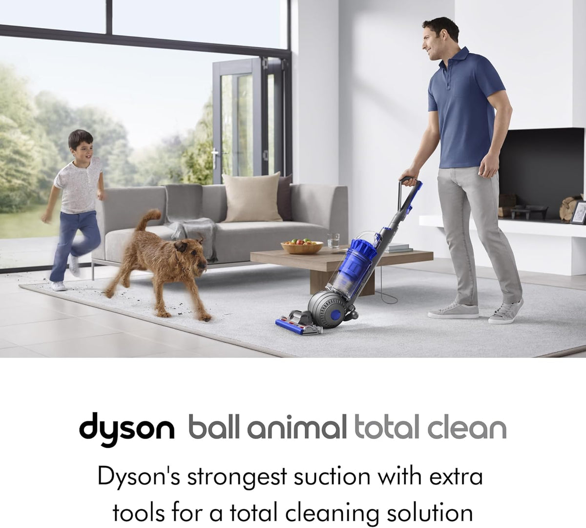 Dyson Ball Animal Total Clean Upright Vacuum - Corded, 290AW