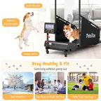 Dog Treadmill Pet Running Machine, 200 lbs Capacity, 1.4 inch LCD Screen - Black