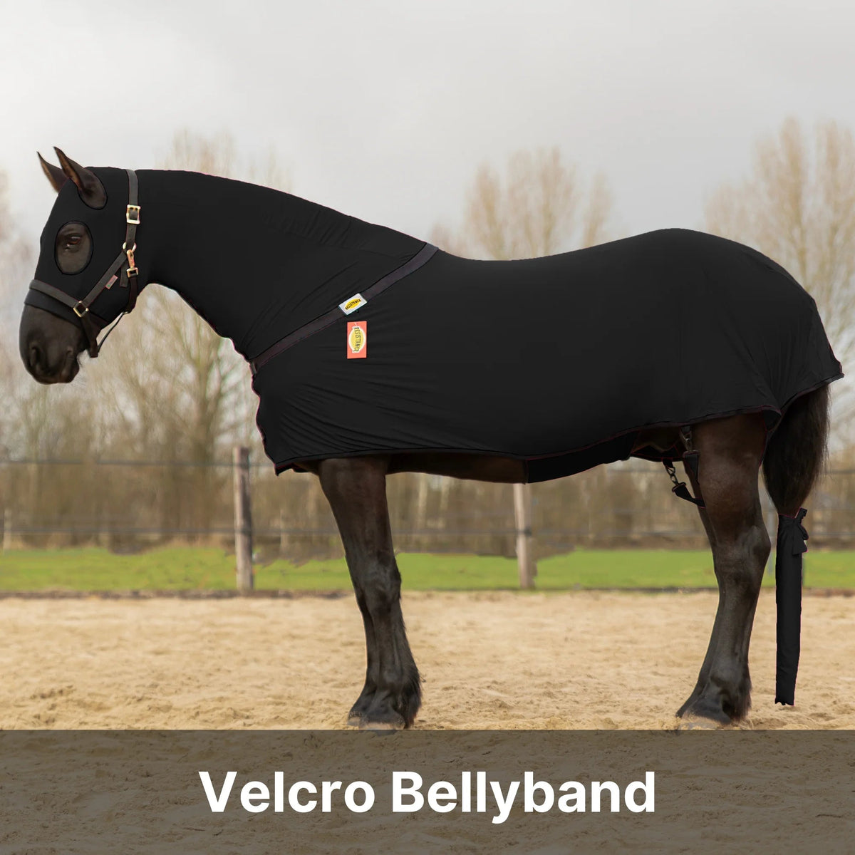 Horse Full Body Slinky With Full Zipper Face - Lycra Material, 11 Colors