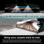 Shark CarpetXpert Carpet Cleaner, Cyan, 13.15 in D x 11.97 in W x 43.5 in H - EX201