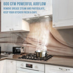 Akicon Ducted Range Hood Insert, Stainless Steel, 3-Speed 600 CFM, 36in Cold