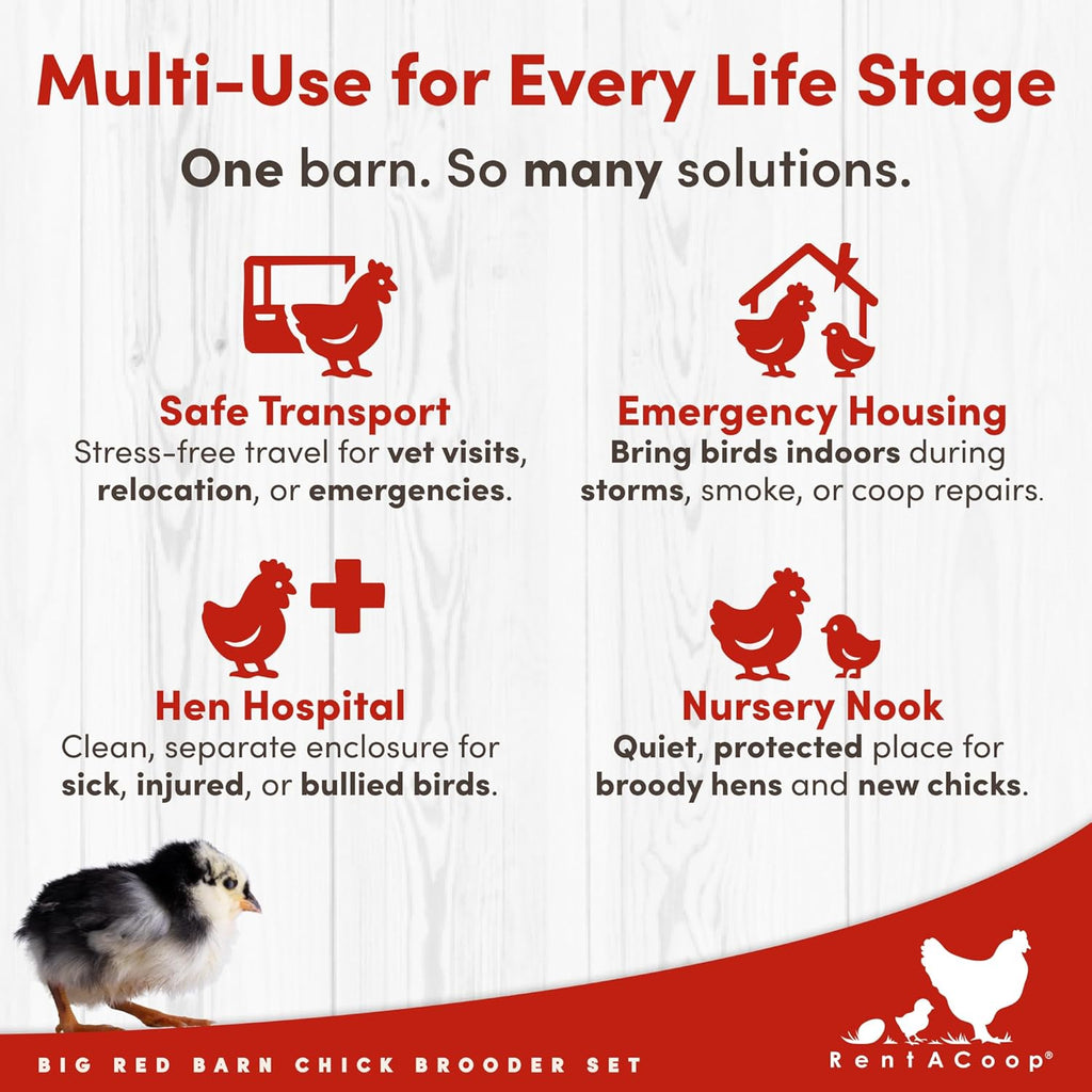 RentACoop Big Red Barn Chick Brooder Set With 12 x 12 Heating Plate, Feeders And Waterers