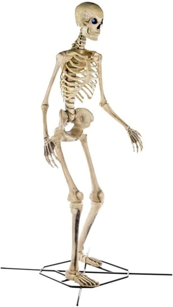Home Accents 12 ft Giant-Sized Skeleton With LifeEyes - NO250058