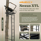 2-Person Ladder Tree Stand, 20ft, 500lb Capacity