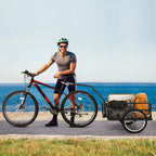 Ktaxon Two-Wheel Bicycle Cargo Trailer, Black, 16 in Inflatable Wheels
