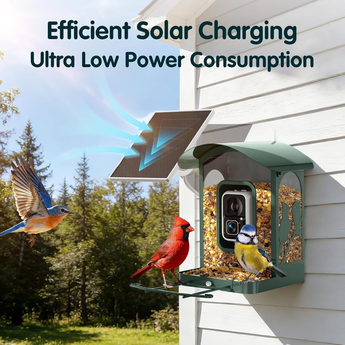 Humbirdy Smart Bird Feeder With Camera, 4K Ultra HD, Solar Powered, 2.4G/5G Wi-Fi