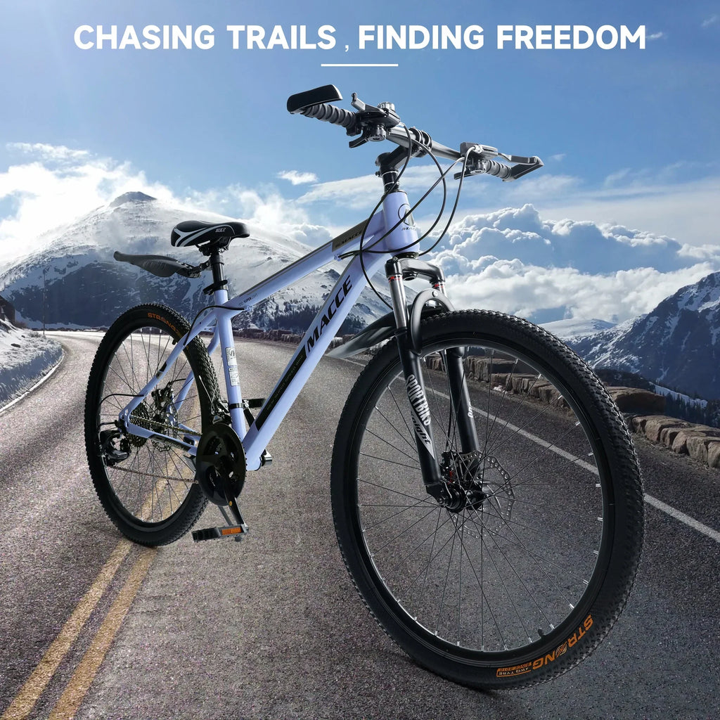 ARTUDATECH 26 Inch 27-Speed Dual Suspension Mountain Bike - Silver, Blue, Gray And Red