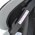 Evenflo Chase LX Harnessed Toddler Booster Car Seat - Jameson Gray
