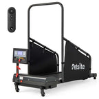 Dog Treadmill Pet Running Machine, 200 lbs Capacity, 1.4 inch LCD Screen - Black