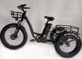 BaFang All-Terrain Fat Tire Electric Tricycle, 750W, 23 Mph, 55-Mile Range