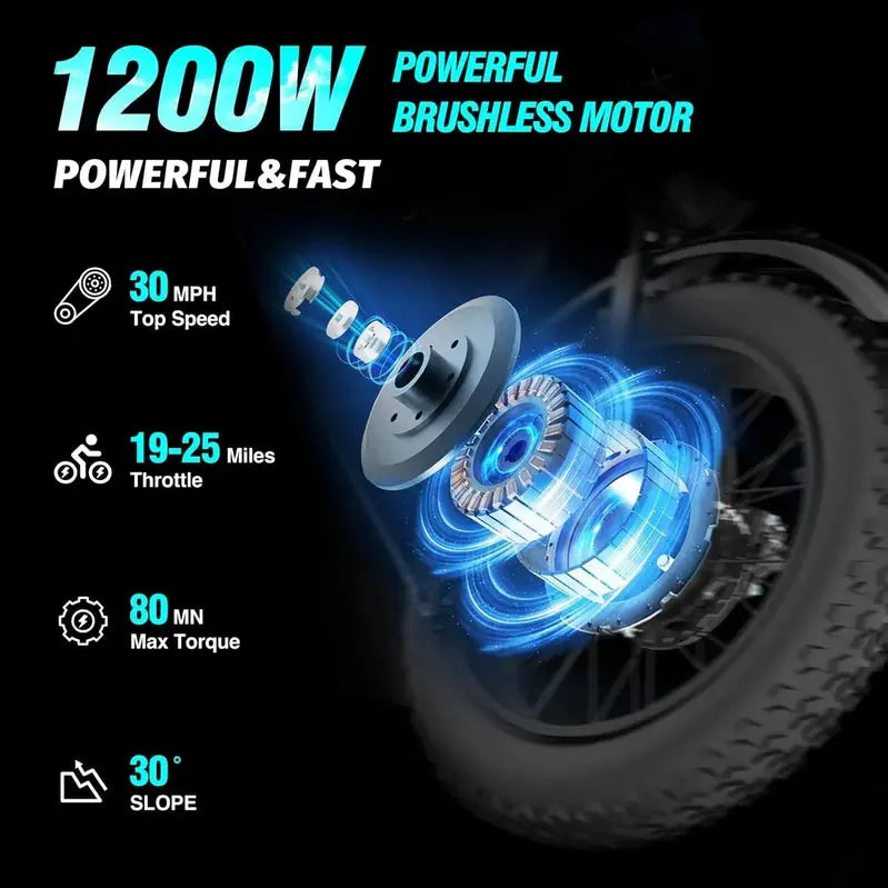 Ridstar Fat Tire Electric Bike 1200 W 48 V 15.6 Ah 20 inch Wheels 7-Speed Full Suspension