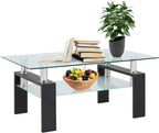 SEGMART Glass Coffee Table With Lower Shelf, 39.4 x 24 x 17.7 in - L5509