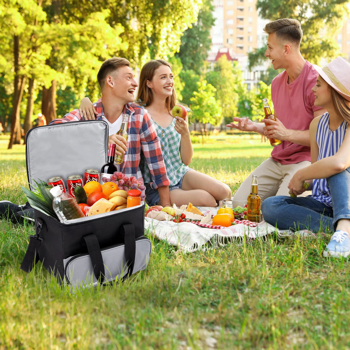 Ivation Portable Electric Cooler Bag, 15 L, Soft-Sided, DC 12V