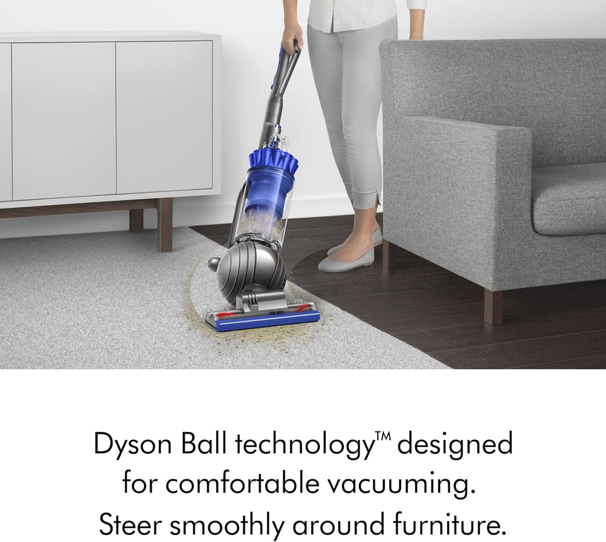 Dyson Ball Animal Total Clean Upright Vacuum - Corded, 290AW