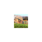 TRIXIE Weatherproof Outdoor Wooden Chicken Coop With 2 Nesting Boxes And Run, Brown