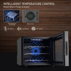JINJUNYE Countertop Wine Cooler Refrigerator, 12 Bottle, Glass Door