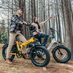 Hipeak Folding Electric Bike For Adults, 750W, 48V 15Ah, 20in x 4.0in Fat Tires, 25MPH