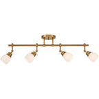 Pro Track 4-Head Wall Or Ceiling Track Light Fixture Kit, Warm Gold - Elm Park