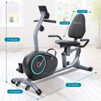 MARNUR Recumbent Exercise Bike With 8 Levels Adjustable Resistance, LCD Monitor, Pad Holder And Wheels