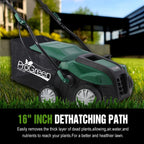 Seizeen 16-Inch Lawn Dethatcher And Scarifier - 15 Amp, 58 QT