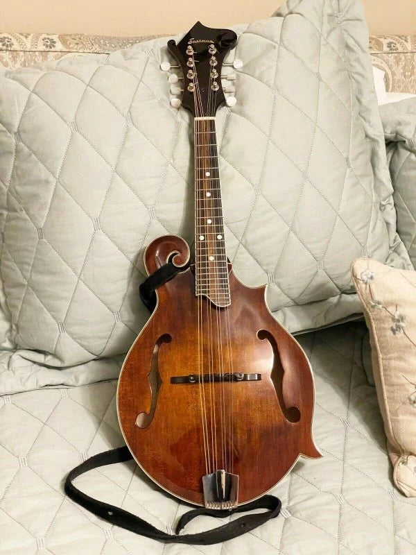Eastman F-Style Mandolin, 8 Strings, Brown, With Hard Case - MD515