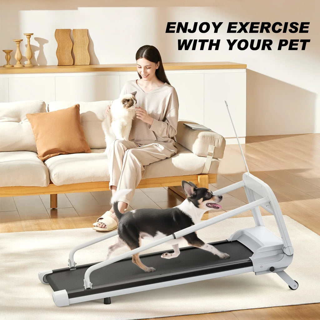 Ambifirner 2 In 1 Dog Treadmill For Small/Medium Dogs, 265 lbs Weight Capacity, Off White