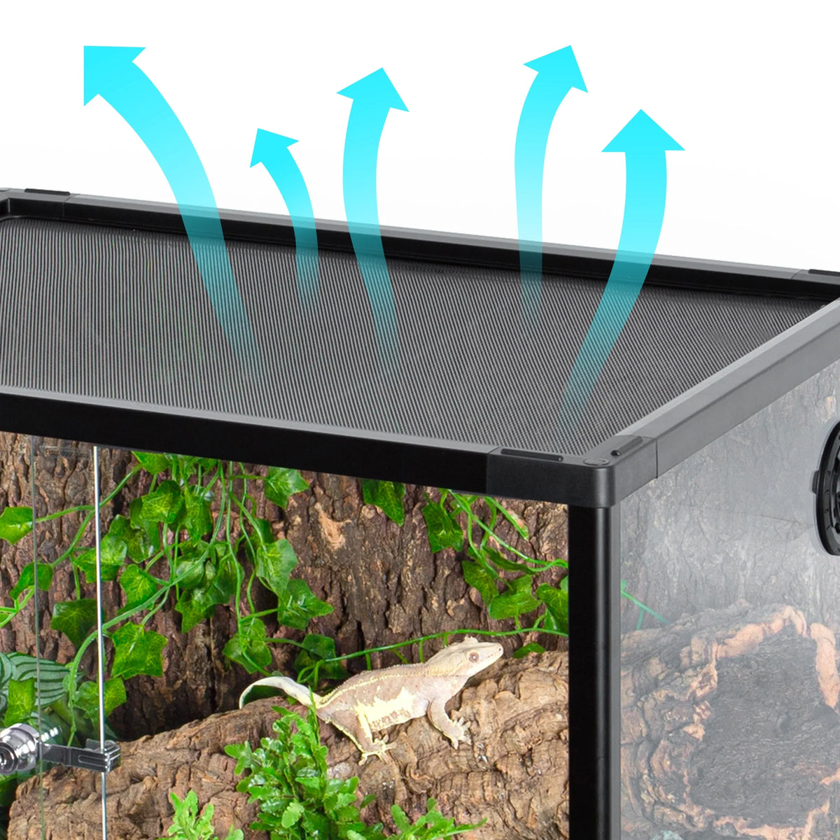 REPTIZOO Reptile Knock-Down Full View Natural Terrarium, Black, 24 x 18 x 18 inches