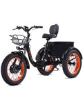 YEBEI Folding Electric Tricycle for Adults, 500W Motor, 48V15AH Lithium Battery, 20 x 4.0 in Fat Tires