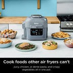 Ninja Speedi Rapid Cooker & Air Fryer, 6-Quart, Sea Salt Gray - SF301